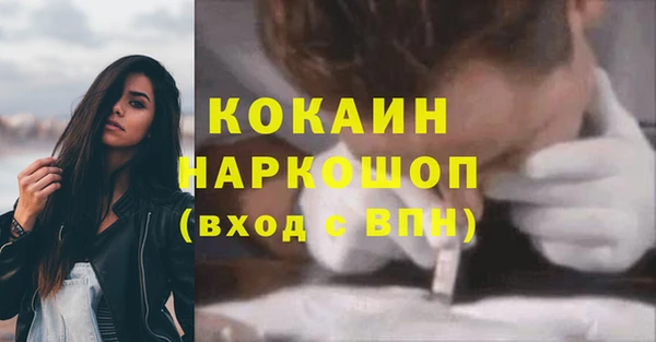гидра Верея