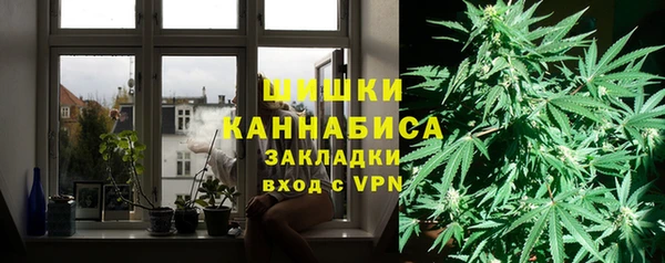 гидра Верея