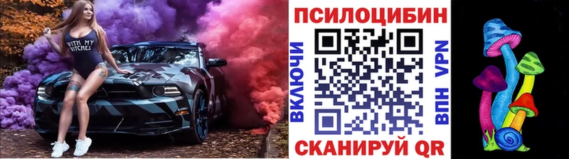 Купить Котово Псилоцибиновые грибы Magic Shrooms